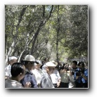 [Click to enlarge image]
