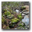 [Click to enlarge image]